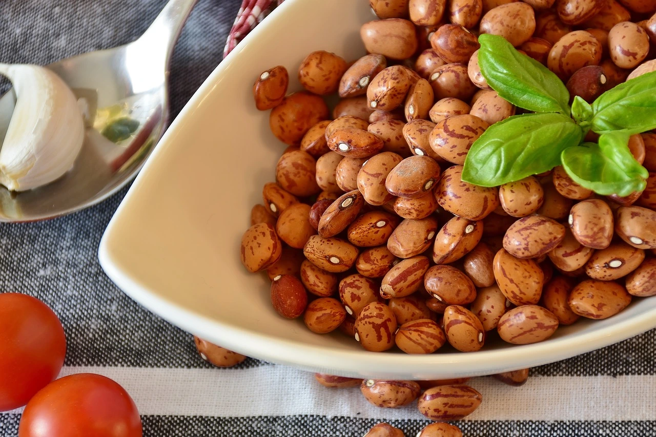 Protein-Umara-Prestera-Mera
