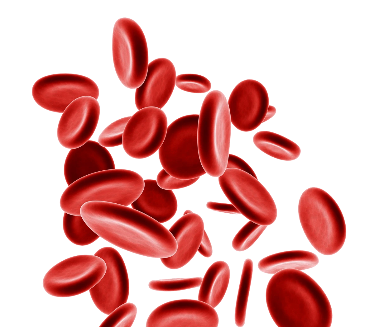 blodkroppar-till-hdlp-c3-b6jken.png