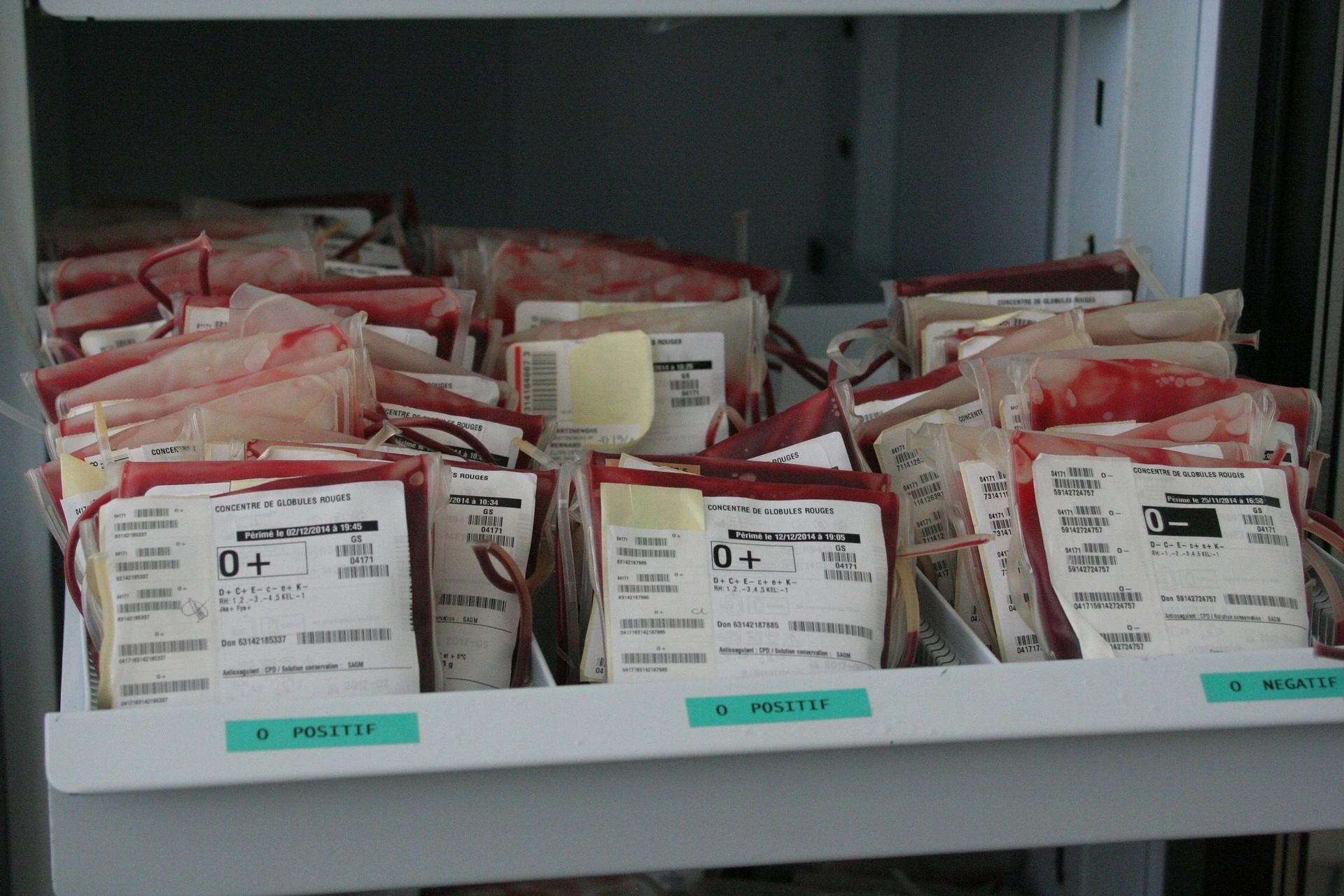 blood bags