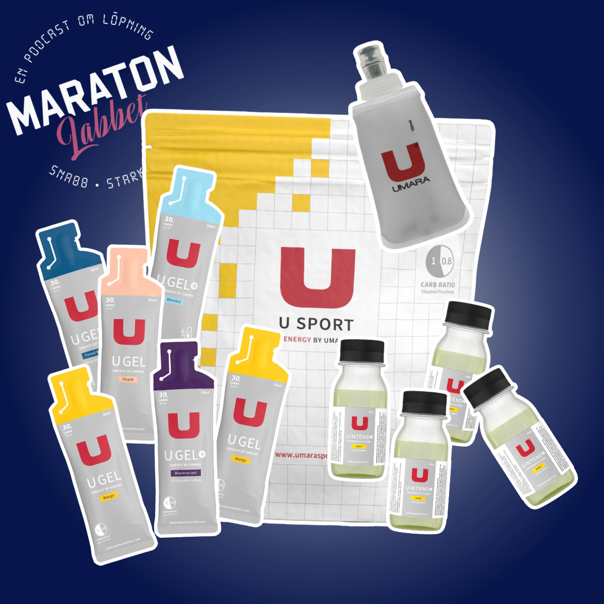 Maratonlabbet grundträning - Maratonlabbet grundträning