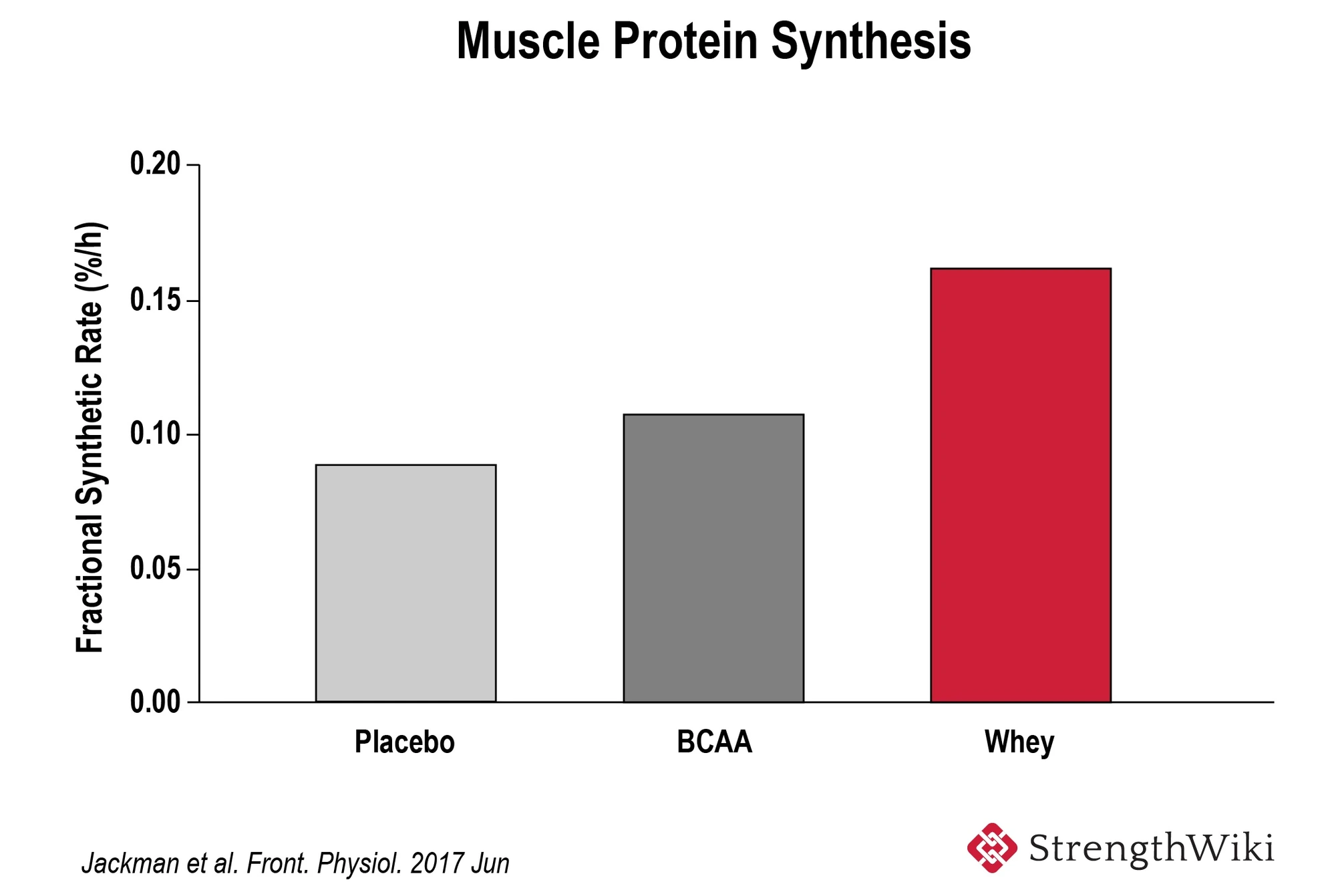 Tableau de Synthèse des Protéines Musculaires : Placebo, BCAA, et Whey