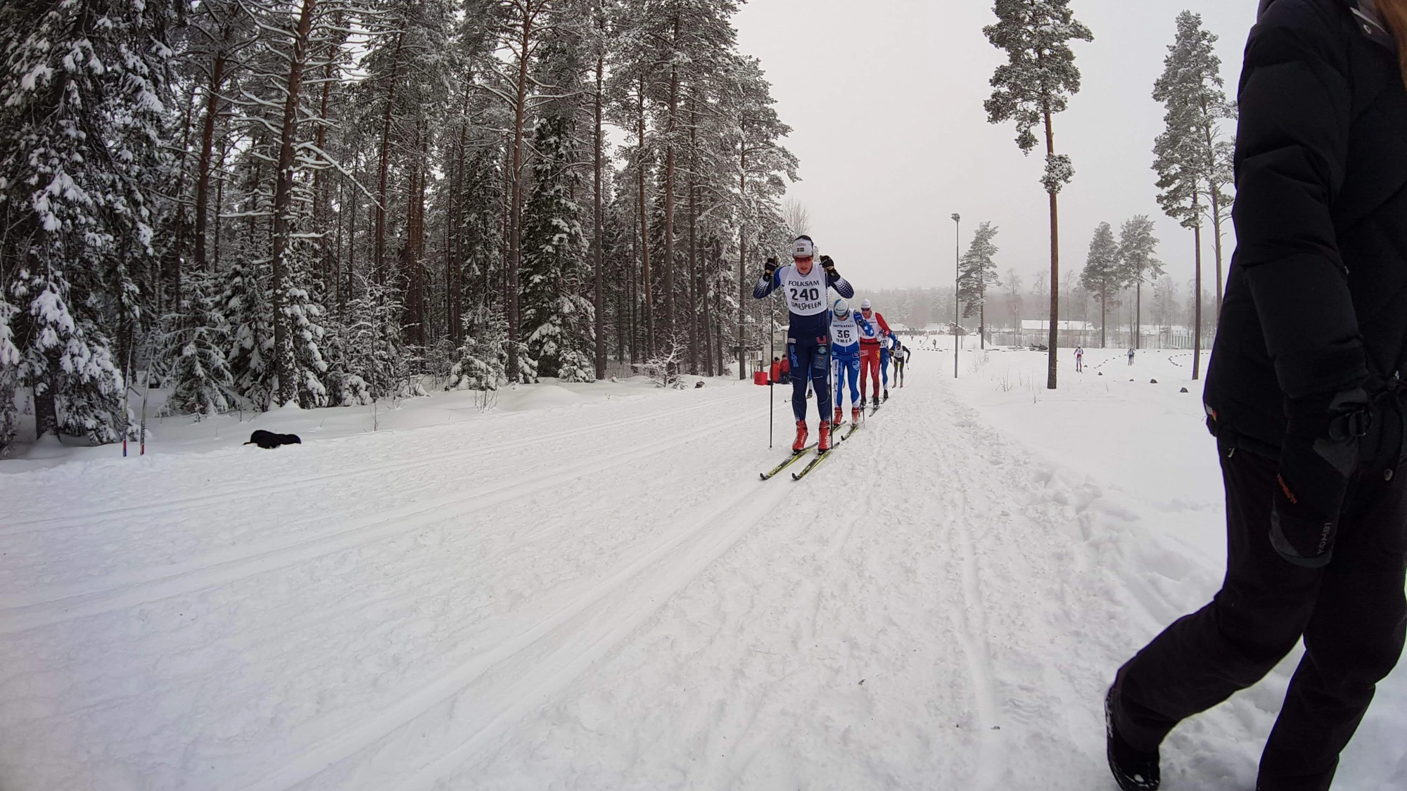 Cross-country skier on a trail