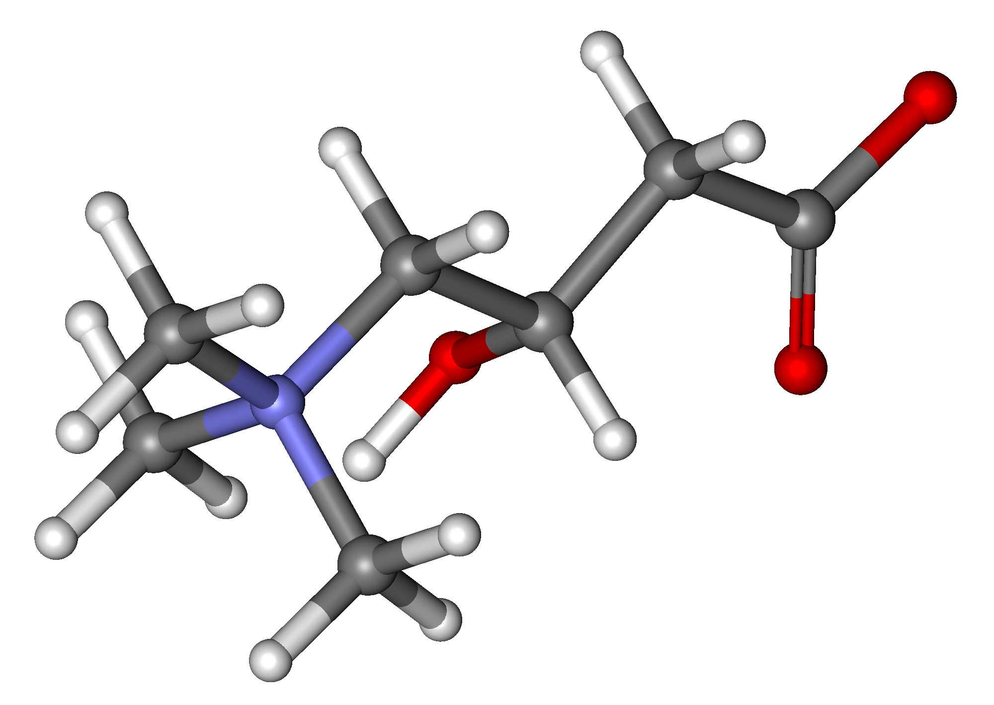 carnitine-ball-and-stick.png