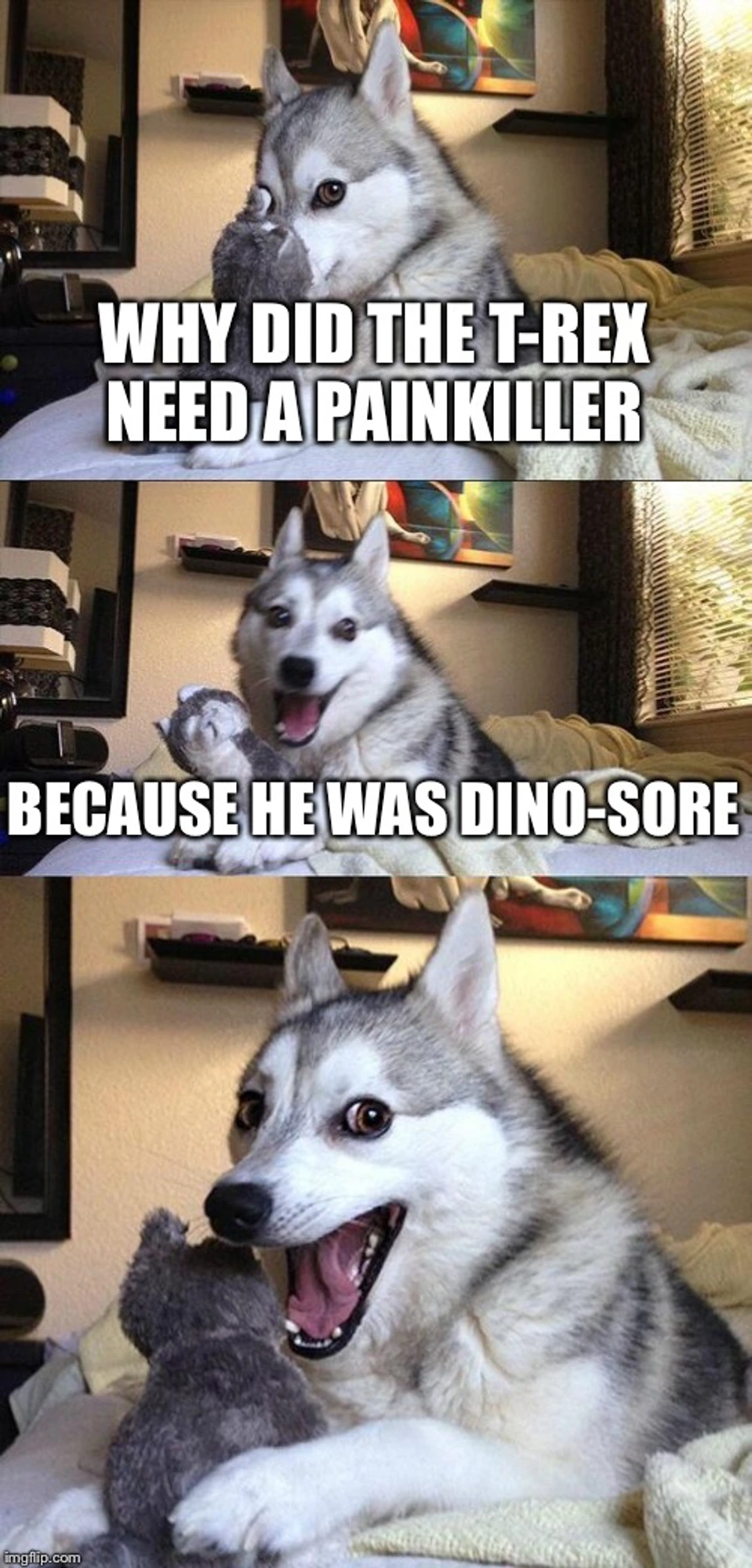 picture of a dog compared to a t-rex who doesn't need painkillers