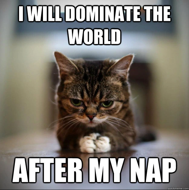 Je-dominerai-le-monde-après-ma-sieste-meme.jpg