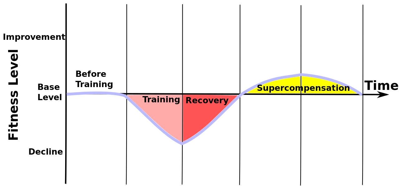 1280px-superkompensation-svg.png