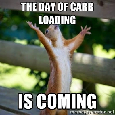 carbloadingsquirrel.jpg