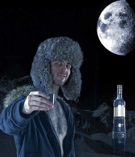 vodka-937680-640.jpg