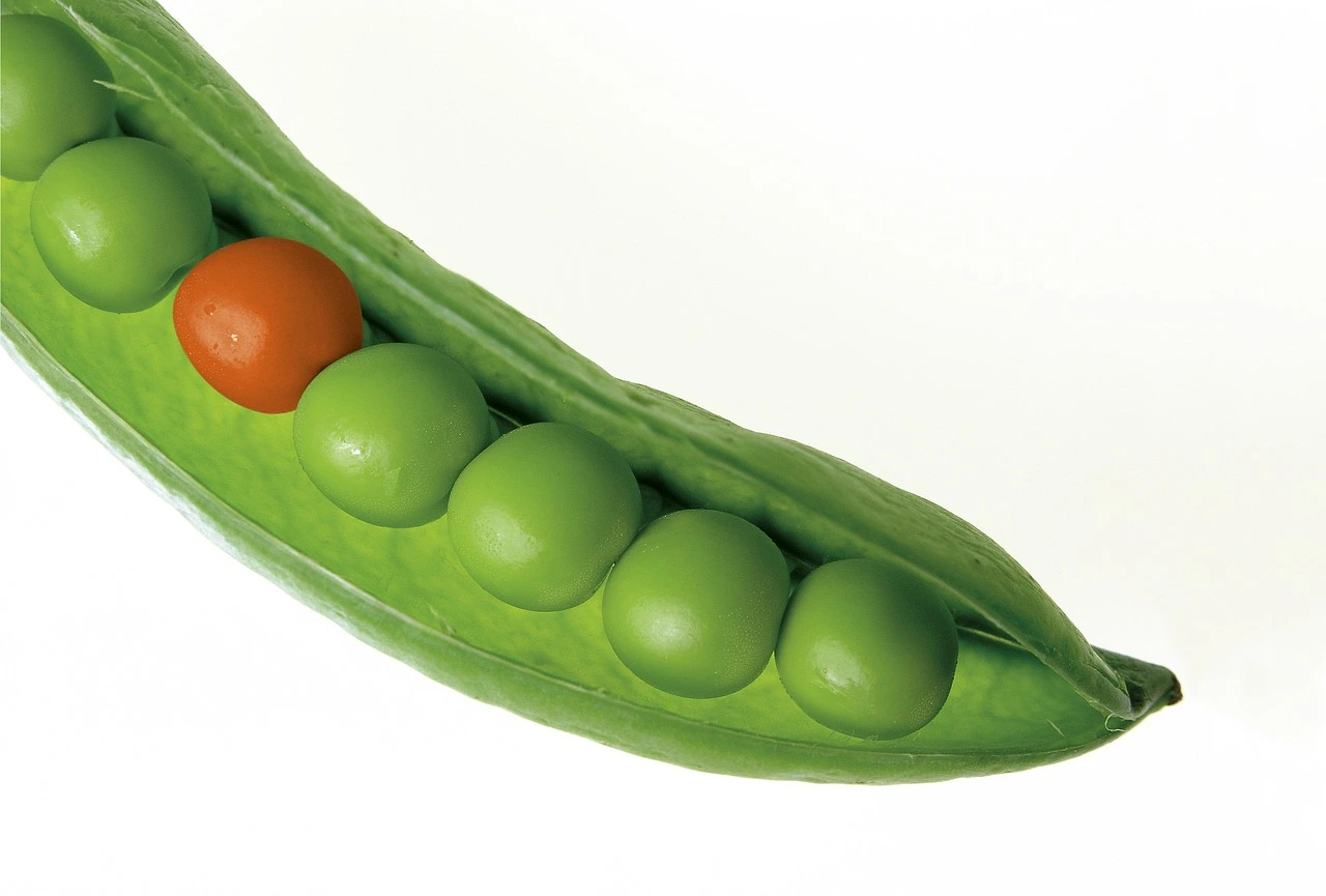 peas-580333-1280.jpg