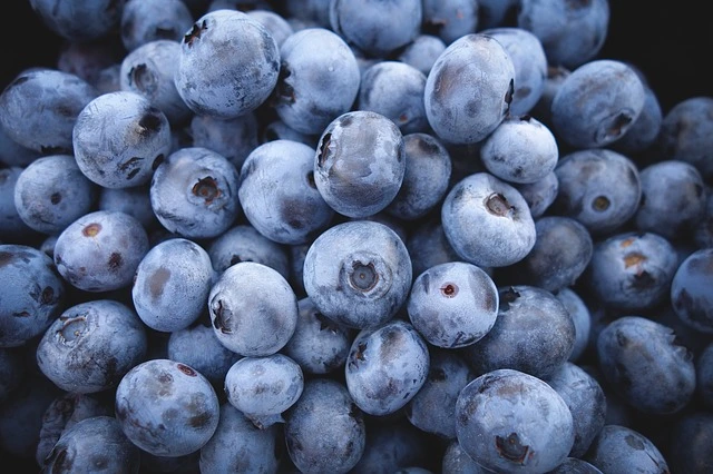 blueberries-690072-640.jpg