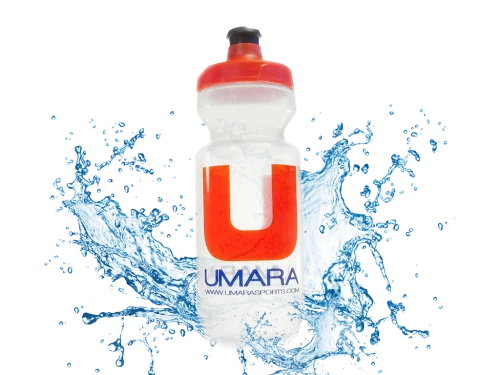 flaskan-500ml-e1430082189188.png