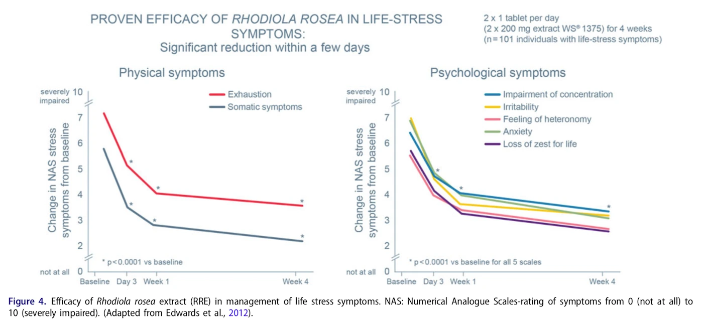 rosenroot-umara-perform-plus-stress.png