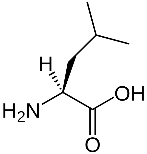 Compléments de leucine
