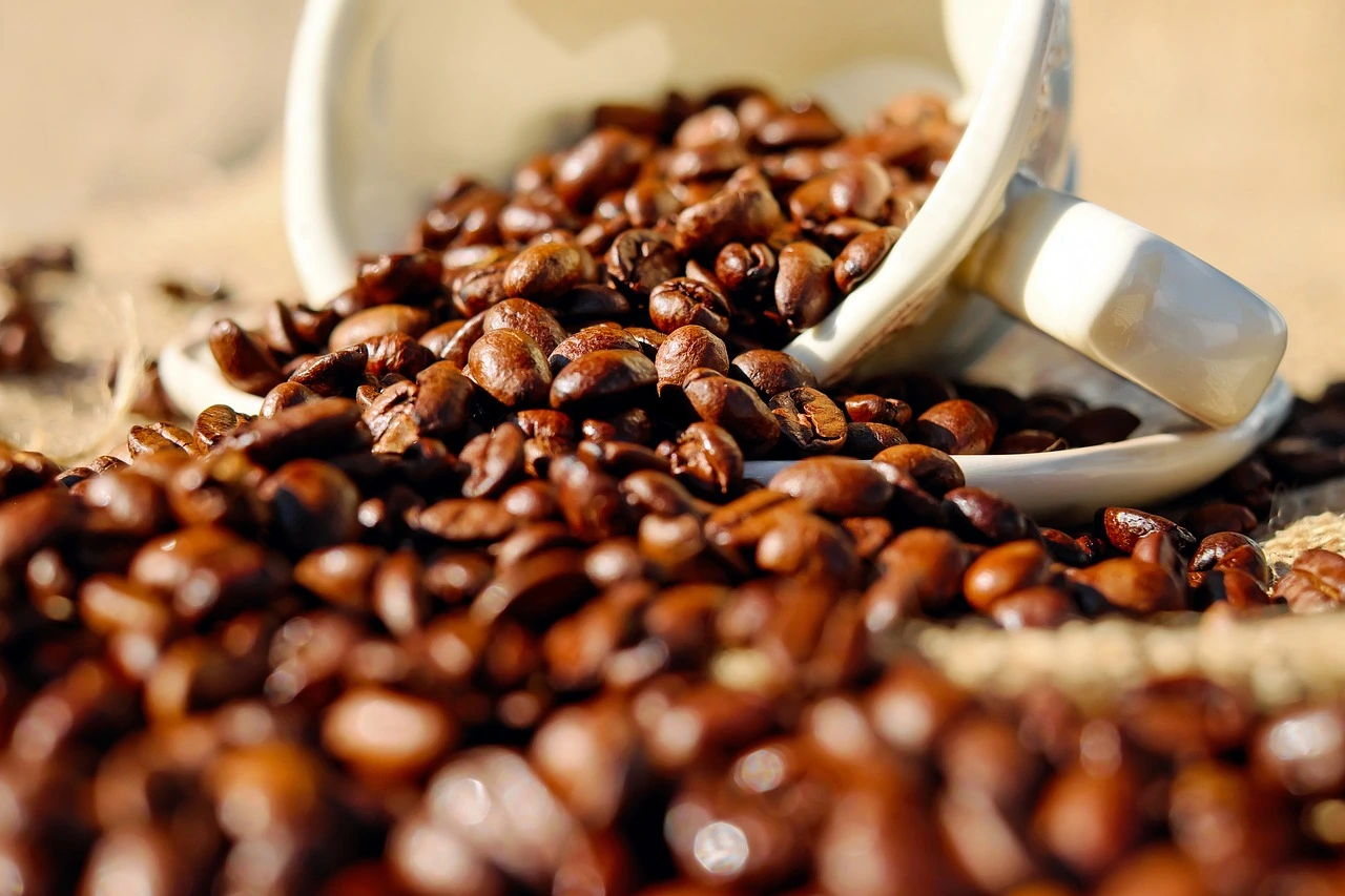 caffeine-umara-performbetter-1280x853.jpg